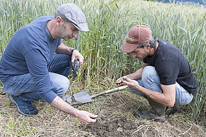 Zwei Männer in der Hocke und ein Spaten auf einem Feld.