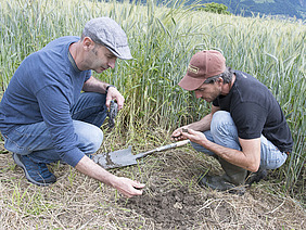 Zwei Männer in der Hocke und ein Spaten auf einem Feld.