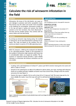 Calculate the risk of wireworm infestation in the field