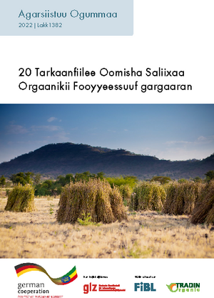 20 Tarkaanfiilee Oomisha Saliixaa Orgaanikii Fooyyeessuuf gargaaran