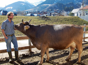 Ein Mann steht neben einer Kuh auf einem Feld