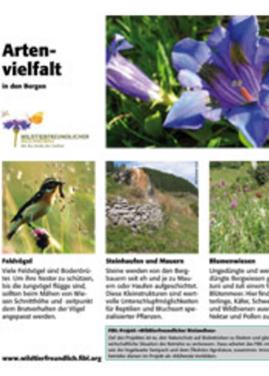 Feldrandtafel: Artenvielfalt in den Bergen
