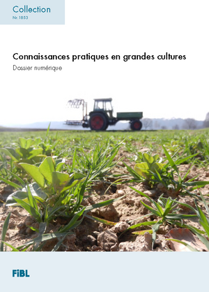 Connaissances pratiques en grandes cultures