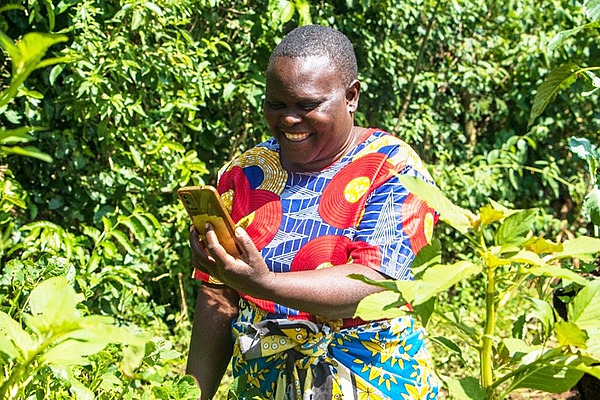 A woman in a field looking at a cell phone.