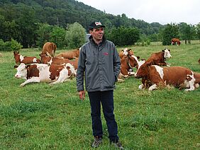 Ein Mann steh auf einer Weider, hinter im liegen circa 10 Kühe.
