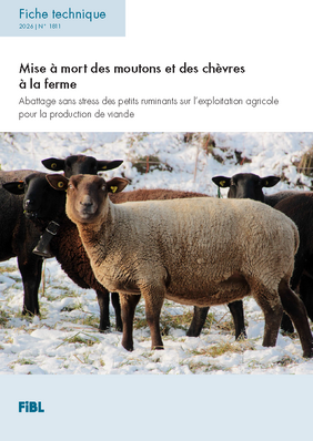 Cover: Fiche technique.