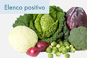 Diversi tipi di verdura.