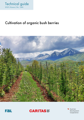 Cover: Cultivation of organic bush berries.