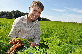 Biobauer auf Karottenfeld
