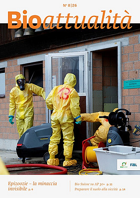 Copertina di Bioattualità 8|26: Tre persone in tute protettive e maschere respiratorie all’ingresso di una stalla.