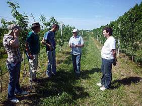 Persons in fruit orchard