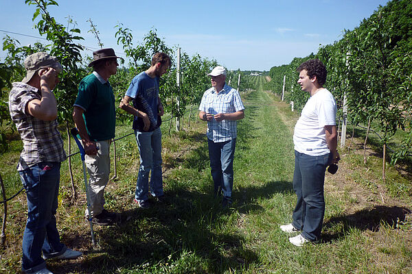 Persons in fruit orchard
