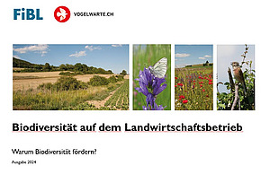 Capture d'écran d'une diapositive PowerPoint.
