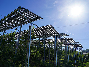 An agri-photovoltaic system lit by the sun.