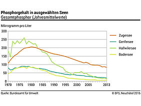 Grafik, die den Phosphorehalt in Zuger-, Genfer-, Hallwiler- und Bodensee aufzeigt.