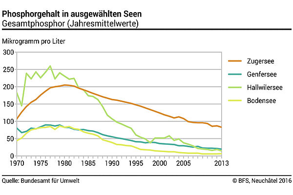 Grafik, die den Phosphorehalt in Zuger-, Genfer-, Hallwiler- und Bodensee aufzeigt.