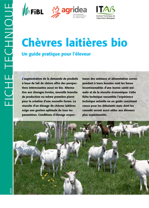 Chèvres laitières bio