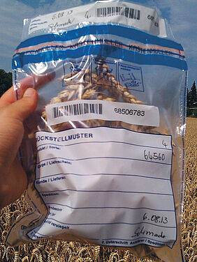 Cereals in a sample bag