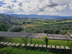 In the foreground are covered sun loungers; in the background is a rolling Tuscan landscape dotted with olive trees.
