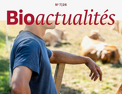 Page de couverture du Bioactualités 7|26: Un homme est adossé à une clôture, avec des vaches en arrière-plan.
