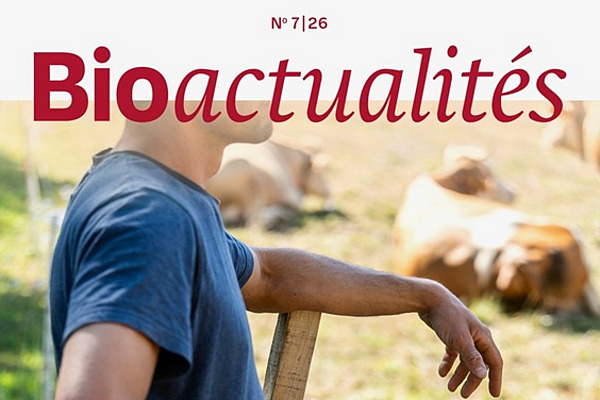 Page de couverture du Bioactualités 7|26: Un homme est adossé à une clôture, avec des vaches en arrière-plan.