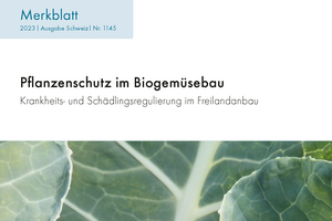 Cover: Pflanzenschutz im Biogemüsebau