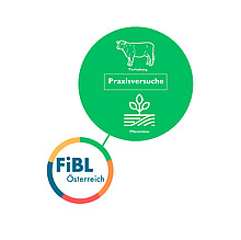 Grafik Praxisversuche