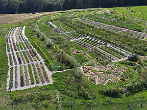 From a bird’s-eye view, a large, neatly laid-out vegetable patch can be seen. The beds extend artistically across the entire area, ending in a flower-shaped bed at the edge of the plot in the foreground.