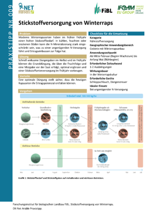 Stickstoffversorgung von Winterraps