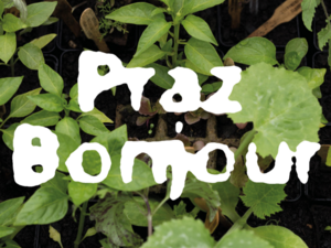 Logo von Praz Bonjour.