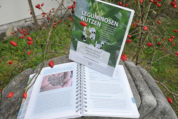Cover Leguminosenhandbuch