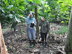 Two researchers on an agroforestry plantation