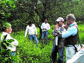 People on citrus plantation