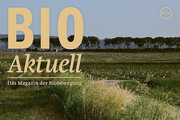 Cover Bioaktuell 6/24.