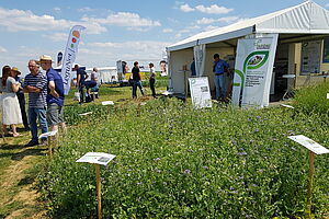 Demoparzellen neben Ausstellungsstand