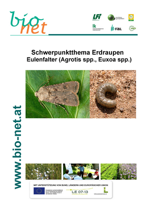 Schwerpunktthema Erdraupen Eulenfalter (Agrotis spp., Euxoa spp.)