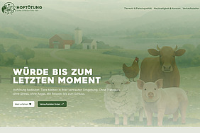 Screenshot der Website hoftoetung-schweiz.ch.