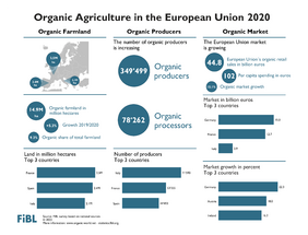 Infographic Organic Europe
