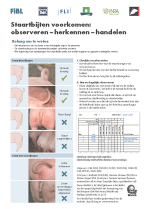 Staartbijten voorkomen: observeren – herkennen – handelen