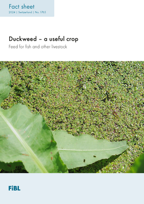 Cover: Duckweed – a useful crop