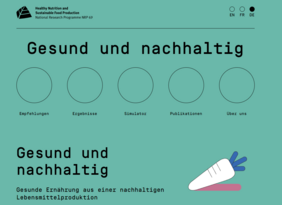 Screenshot Website "Gesund und nachhaltig"