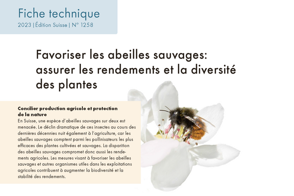 Cover: Favoriser les abeilles sauvages: assurer les rendements et la diversité des plantes