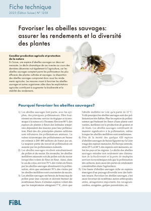 Favoriser les abeilles sauvages: assurer les rendements et la diversité des plantes