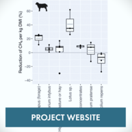 Banner "Project website". A graphic shows at the x axis different methods of sheep feeding and on the y axis the respective amount of methane reduction. The reductions range from -5 to 30%.
