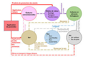 Graphique représentant la répartition des pesticides entre l'environnement et la chaîne alimentaire