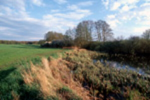 Agrarlandschaft