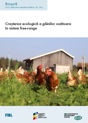 Creșterea ecologică a găinilor ouătoare în sistem free-range