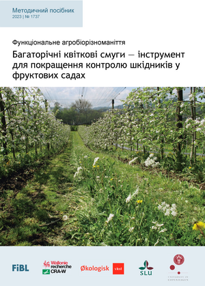 Багаторічні квіткові смуги — інструмент для покращення контролю шкідників у фруктових садах