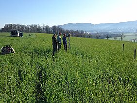Drei Menschen auf einem Feld nehmen Bodenproben.