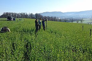 Drei Menschen auf einem Feld nehmen Bodenproben.